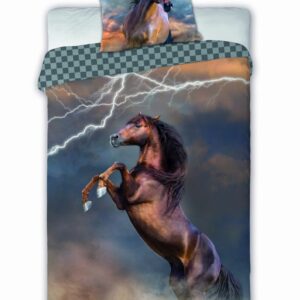 Pościel młodzieżowa 03 HORSES PIORUN 140x200cm + poduszka 70x90cm